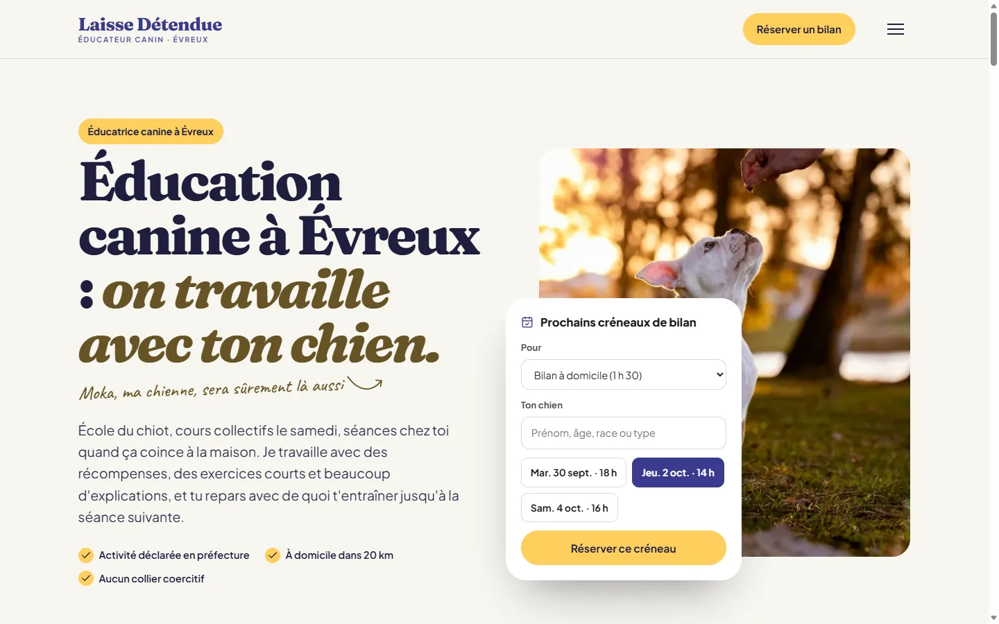 Page d’accueil de la démo Laisse Détendue
