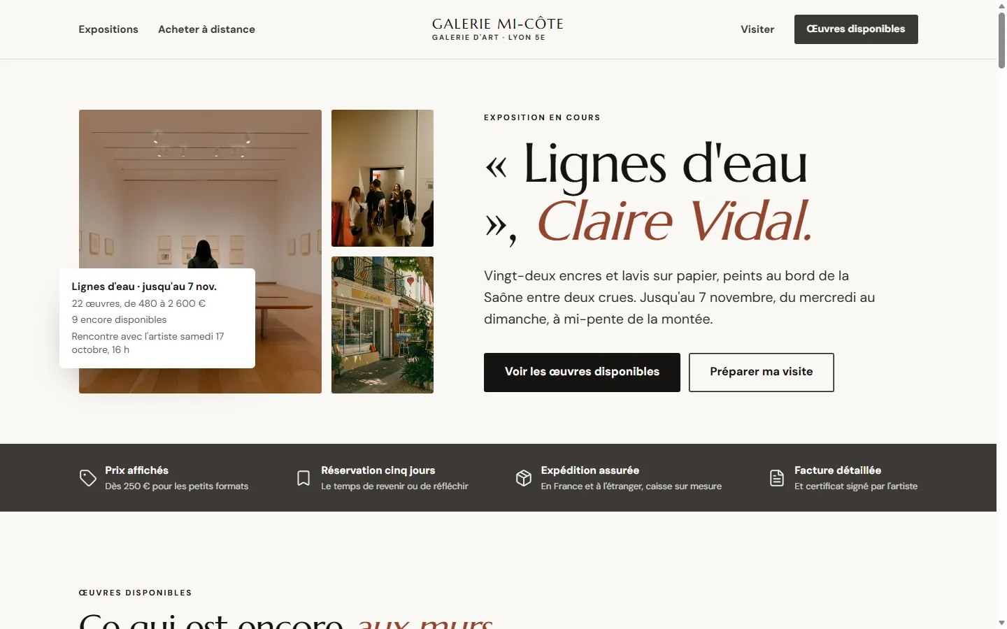 Page d’accueil de la démo Galerie Mi-Côte