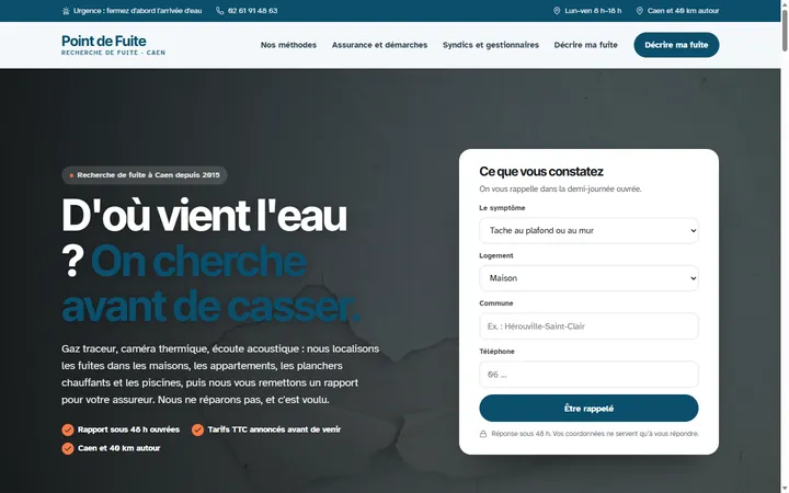 Page d’accueil du site Point de Fuite