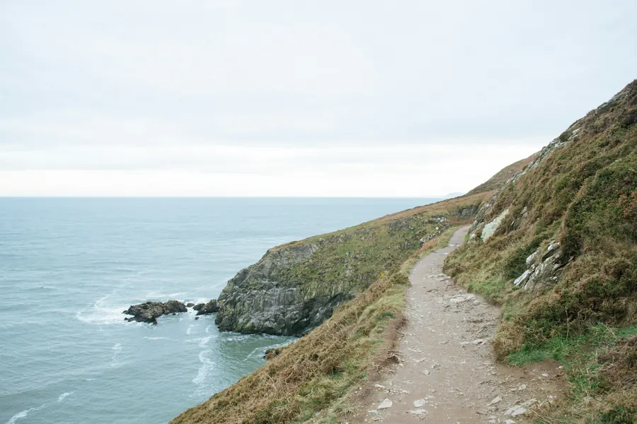 Sentier de randonnée le long d'une falaise verte au-dessus de la mer