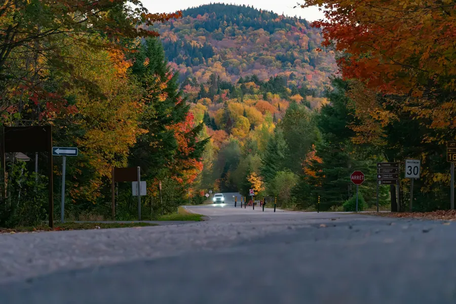 Voiture sur une route bordée de forêts aux couleurs d'automne, paysage du Québec, pas de publicité automobile
