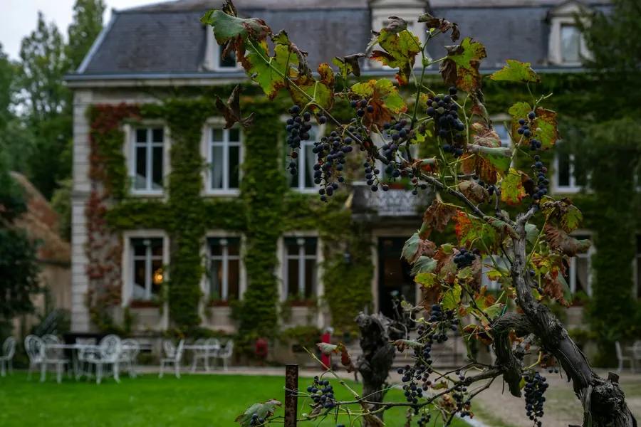 Manoir en pierre couvert de vigne vierge, terrasse et jardin, sans invités