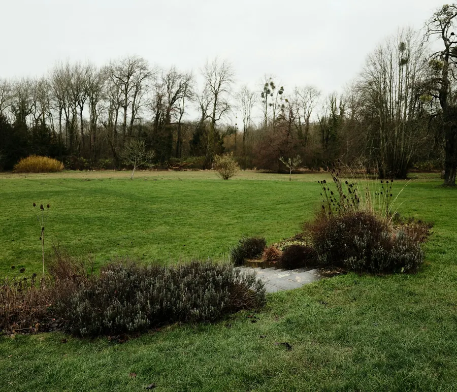 Grand jardin arboré avec pelouse et massifs, sans regard d'assainissement visible