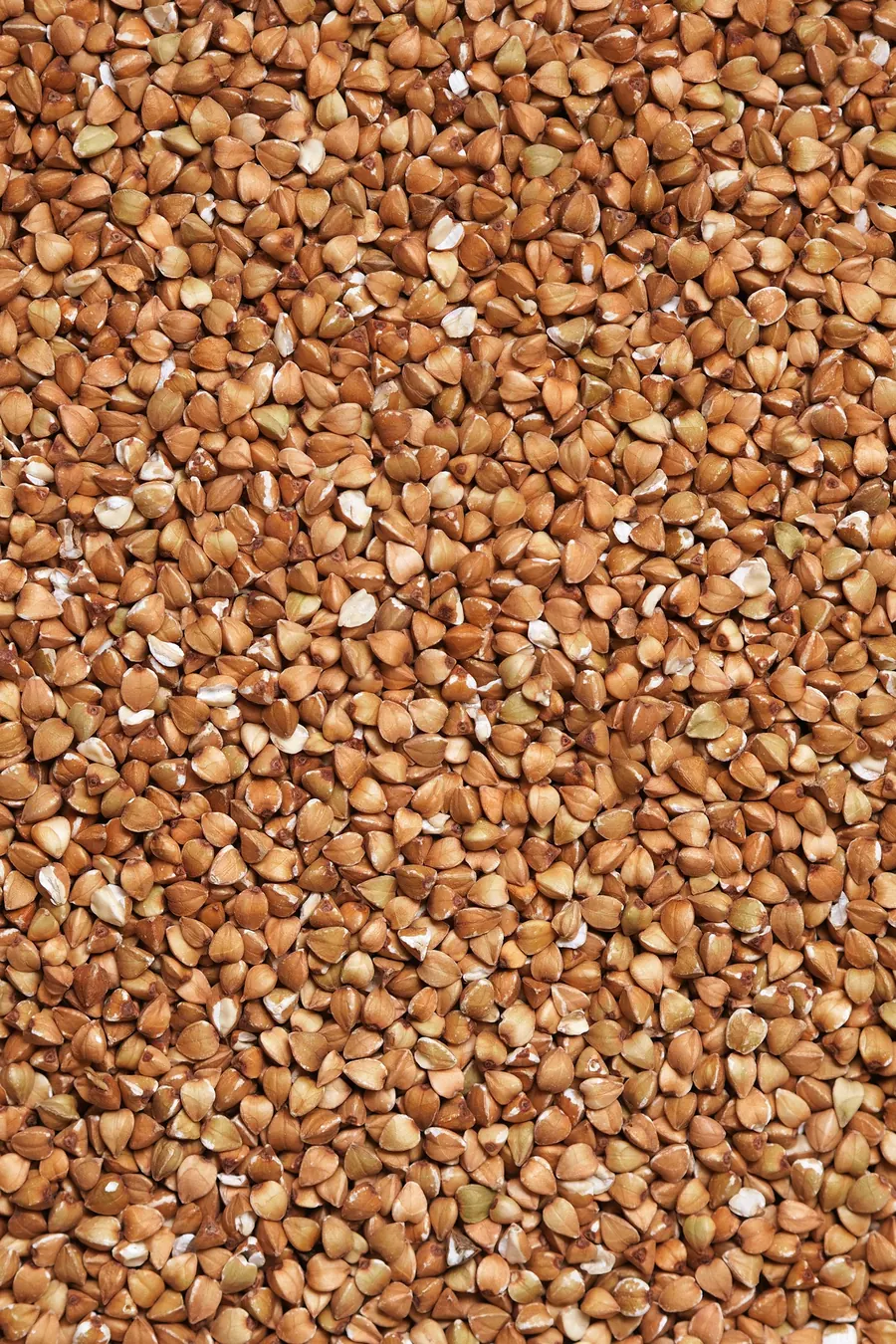 Gros plan de grains de sarrasin bruns, sans bouteille visible