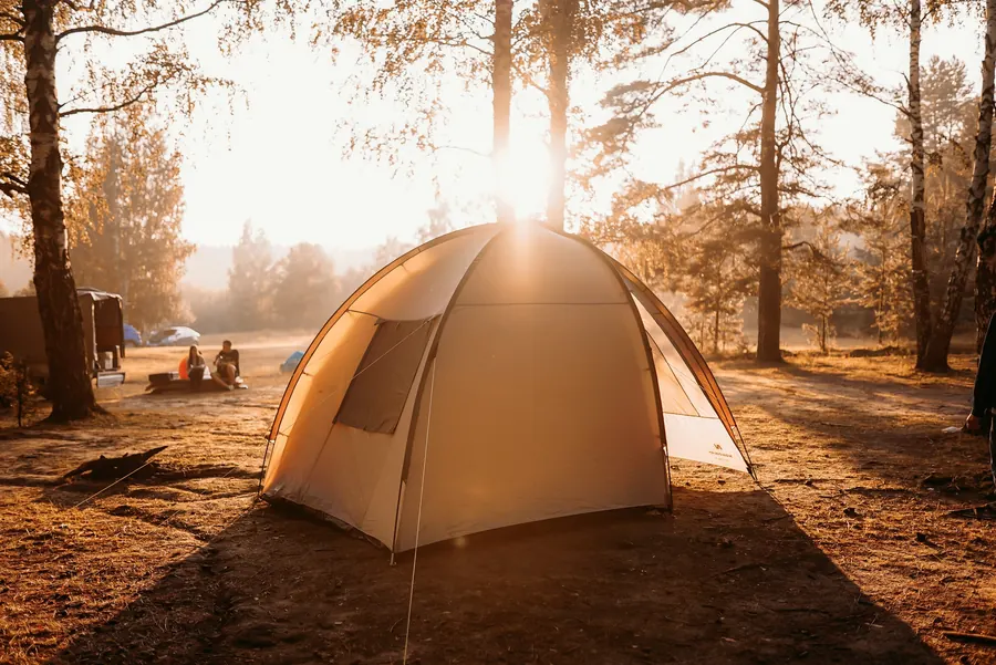 Tente montée sous les pins dans la lumière dorée du soir