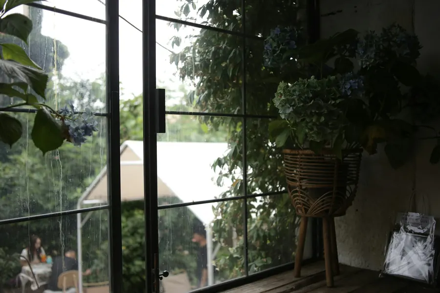 Chambre avec grande fenêtre ouverte sur un jardin verdoyant