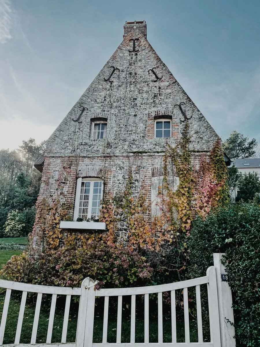 Façade en pierre couverte de vigne vierge, volets clairs