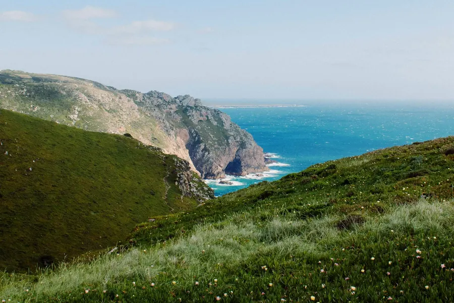 Sentier côtier verdoyant qui surplombe une côte rocheuse