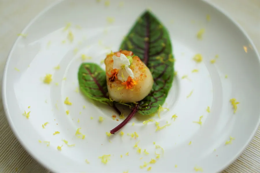 Coquilles Saint-Jacques sur assiette blanche avec sauce verte