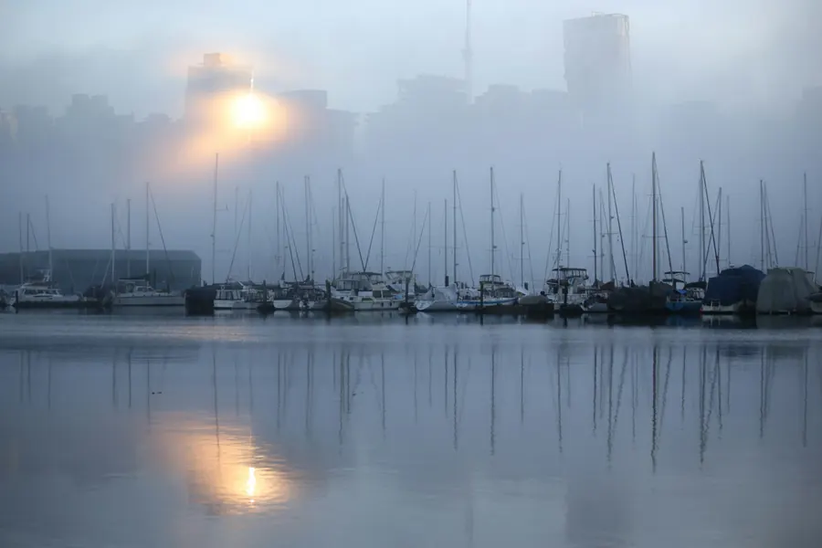 Port brumeux avec voiliers amarrés au petit matin