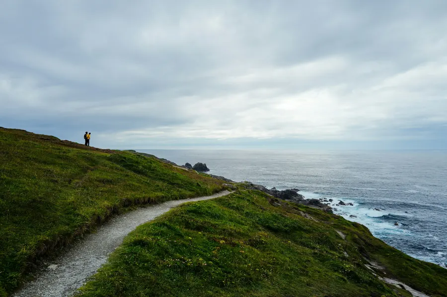 Sentier côtier sinueux sur une falaise herbeuse au-dessus de la mer