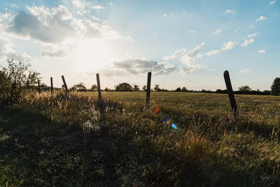 Terrain à bâtir borné, piquets visibles, haies bocagères, lumière du soir