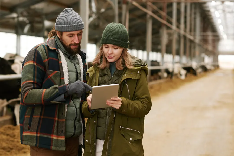 Courtière avec un éleveur dans une cour de ferme mayennaise, tablette à la main, hangar en fond
