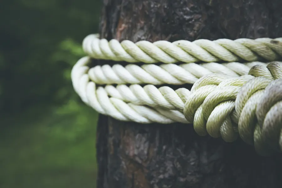 Corde épaisse enroulée autour d'un tronc d'arbre
