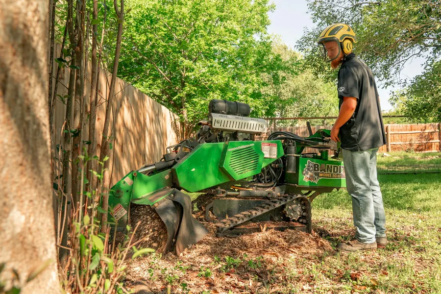 Rogneuse de souche en action dans un jardin, copeaux qui volent