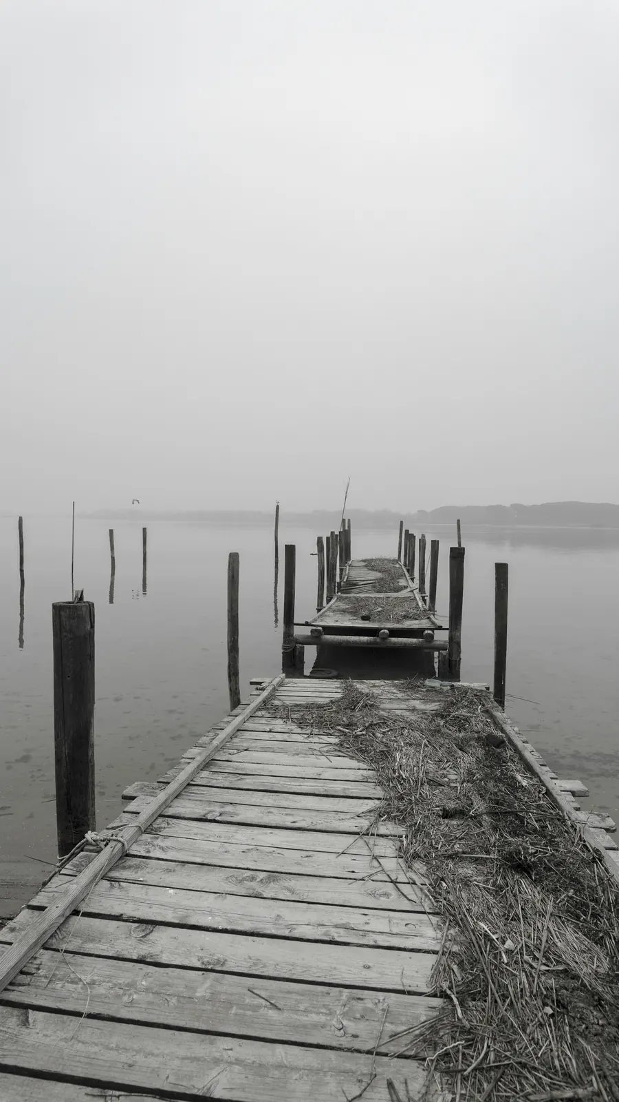 Photographie en noir et blanc d'un ponton dans le brouillard