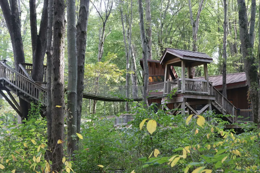 Cabane en bois perchée dans les arbres, reliée par une passerelle et un escalier