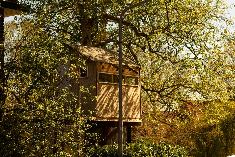 Petite cabane en bois surélevée, nichée parmi les arbres