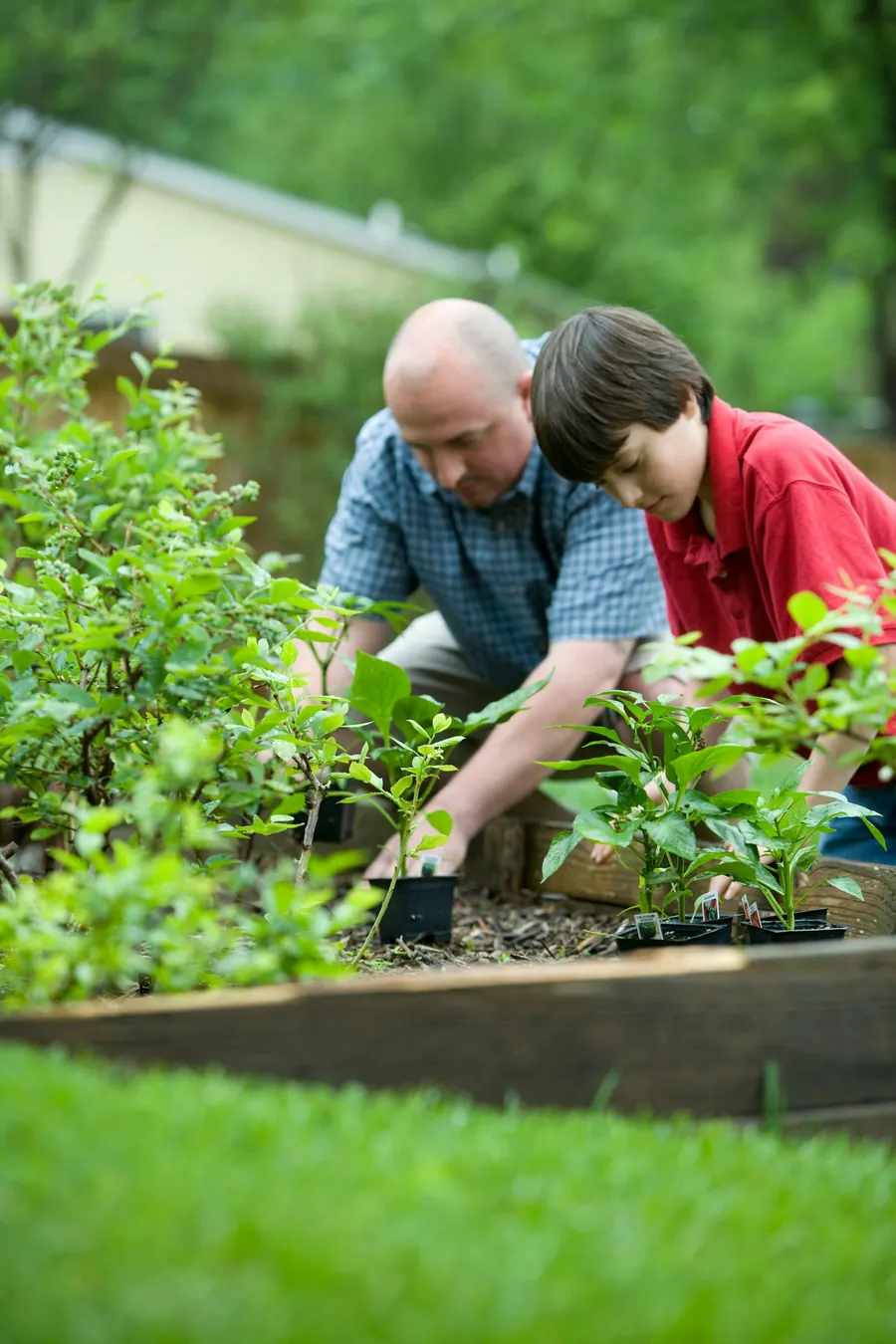 Homme et garçon jardinent ensemble, pas une fille