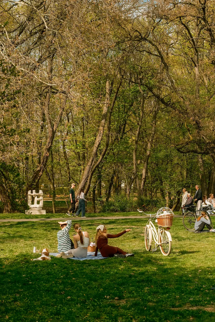 Amis pique-niquent dans un parc, sans vélos ni eau visibles