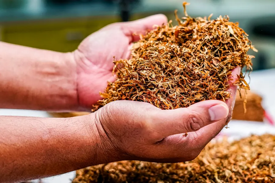 Mains qui tiennent de la fibre de coco humide au-dessus d'un sac