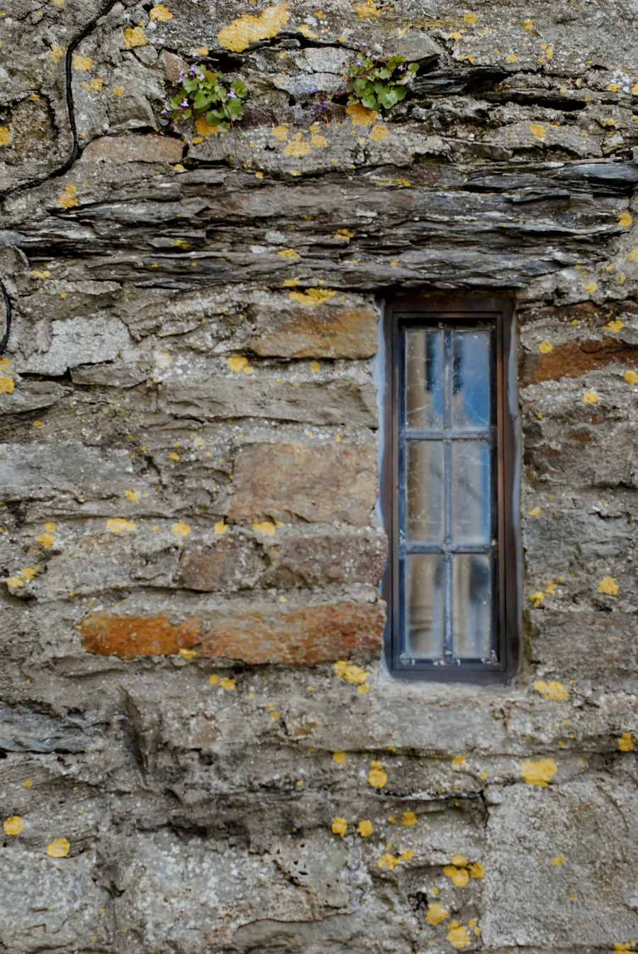 Fenêtre en bois à petits bois dans une façade ancienne en pierre