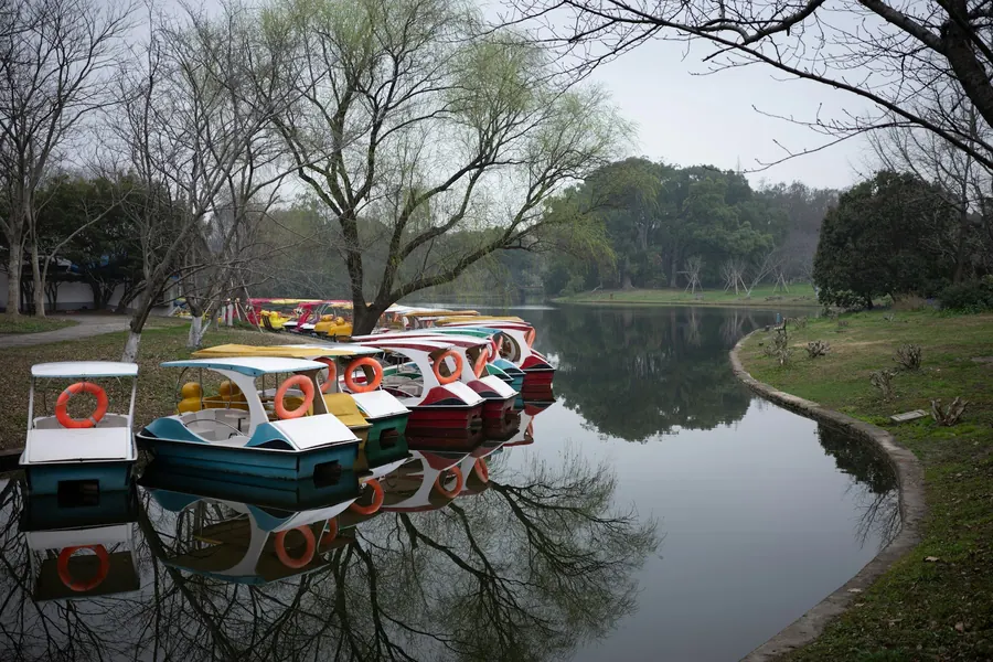 Barques colorées amarrées sur un lac calme, sans enfants