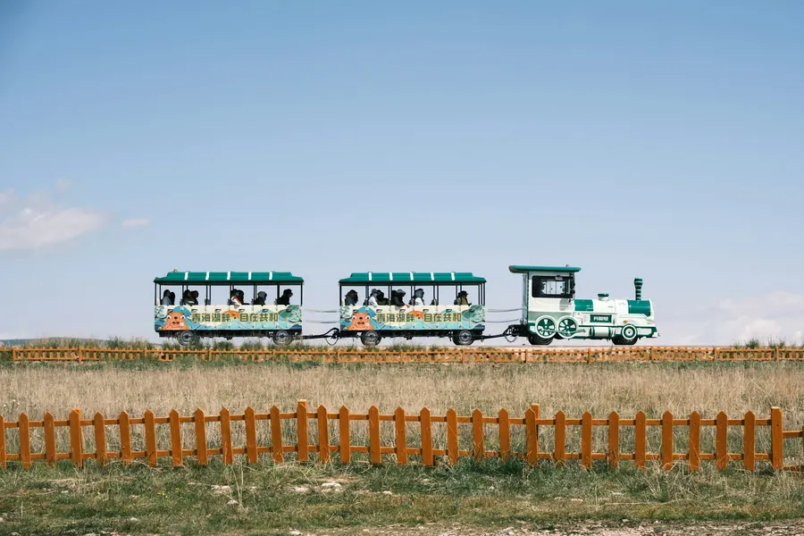 Petit train touristique traversant un champ clôturé, sans pommiers