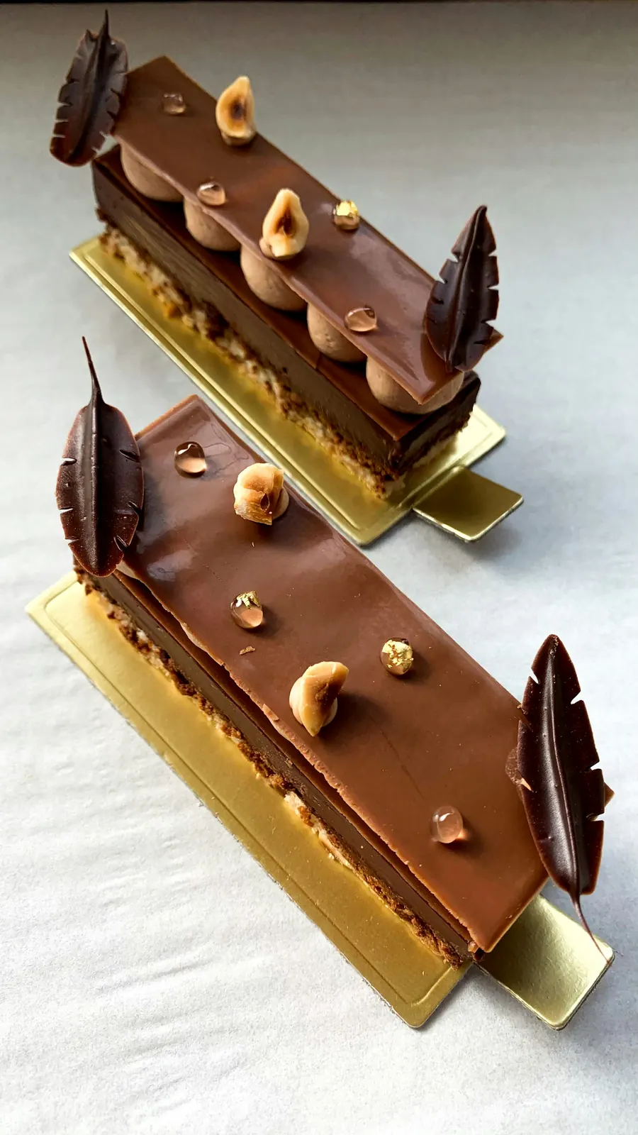 Entremets praliné décoré de noisettes torréfiées, vue de trois quarts, fond neutre