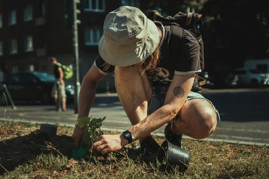 Jardinier qui plante un jeune arbuste par temps sec, rue en arrière-plan