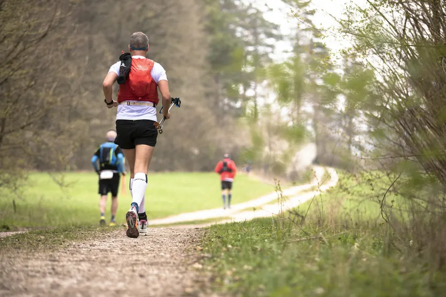 Groupe de coureurs sur un chemin forestier, sans rivière visible