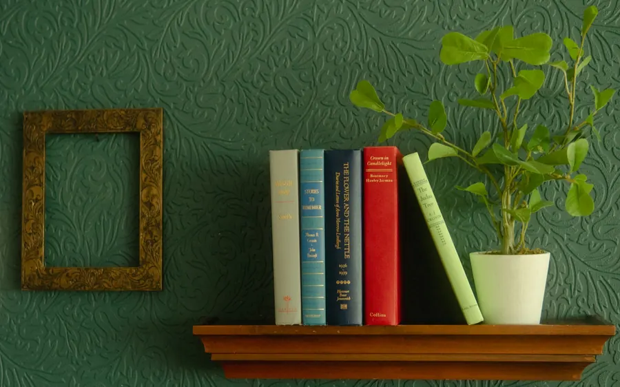 Étagère de livres et une plante, détail chaleureux