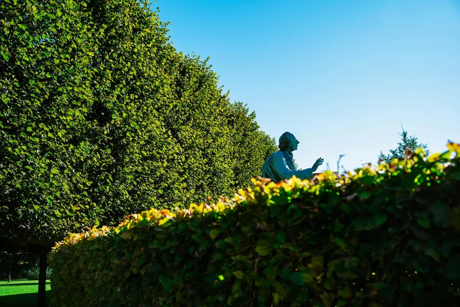 Jardinier perché au-dessus d'une haute haie qu'il taille, sous un ciel bleu