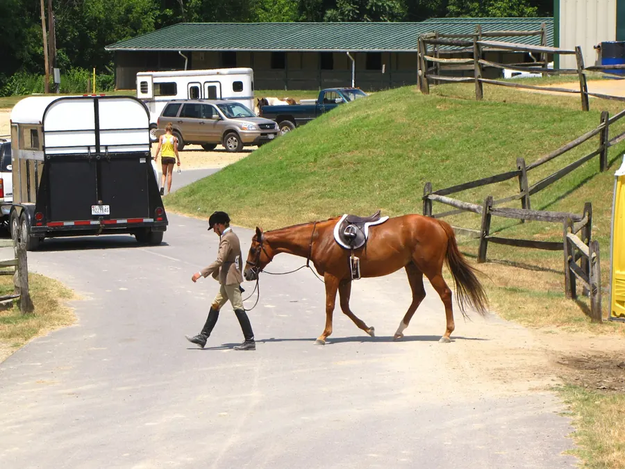 Homme qui mène un cheval sellé près des vans, terrain de concours