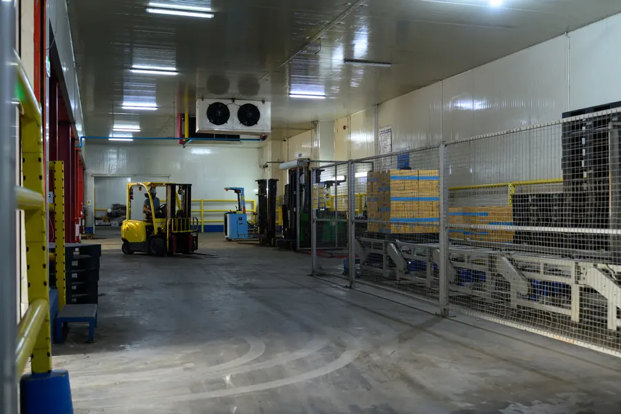 Entrepôt frigorifique, racks de palettes, chariot élévateur
