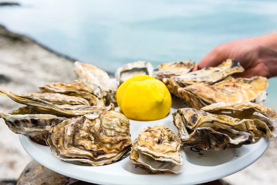 Des huîtres fraîches et du citron sur une assiette, en extérieur